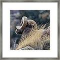 The Watchman #1 Framed Print