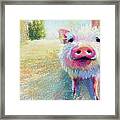 This Little Piggy #1 Framed Print
