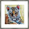 Tiger Cub #1 Framed Print