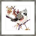 Titmouse #1 Framed Print