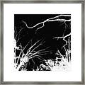 Tree Tops #1 Framed Print