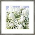 Tulips And Babys Breath Framed Print