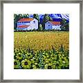 Tuscan Sunflowers #1 Framed Print