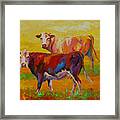 Two Cows #1 Framed Print