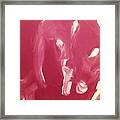 Untitled #1 Framed Print