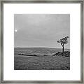 #walkingscape #1 Framed Print