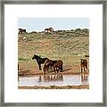 Watering Hole #1 Framed Print