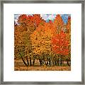 We Stand Alone #1 Framed Print