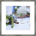 Wedding Flowers #1 Framed Print