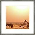 Wild Horse Sunset #1 Framed Print
