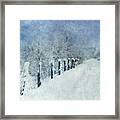 Winter #1 Framed Print