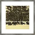 Winter Frolic #1 Framed Print