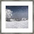 Winter #1 Framed Print