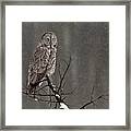 Winterstill #1 Framed Print