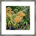 Yellow Orchids #1 Framed Print