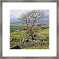 Yorkshire Dales Landscape #1 Framed Print
