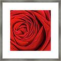 Flower #10 Framed Print