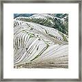 Terrace Fields Scenery In Spring #10 Framed Print