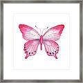 108 Pink Laglaizei Butterfly Framed Print