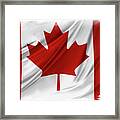 Canadian Flag  #11 Framed Print
