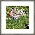 Hannover Zoo Germany #11 Framed Print