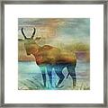 11011 Antelope Framed Print