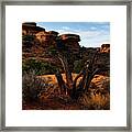 Canyonlands National Park Utah #12 Framed Print