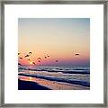 Sunset #121 Framed Print