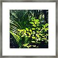 Jungle 123 Framed Print