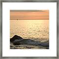 Sunrise At The White Cliffs Of Dover #13 Framed Print