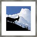 150622p053 Framed Print