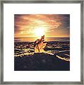Lake Erie Sunset #16 Framed Print