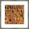 Bryce Canyon Utah #19 Framed Print