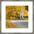 Autumn Road #2 Framed Print