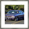 Barracuda #2 Framed Print