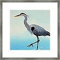 Blue Water Heron Framed Print