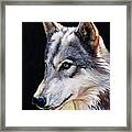 Brother Wolf #1 Framed Print