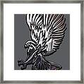 Eagle Collection #2 Framed Print