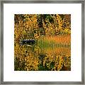 Fall Reflections #2 Framed Print