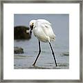 Fishing #2 Framed Print