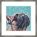 French Bulldog #2 Framed Print