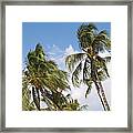 Hawaiian Breeze #2 Framed Print