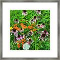 Headwaters Of Kishwaukee #2 Framed Print