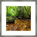 Hills Creek Monongahela National Forest #2 Framed Print