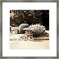 Japanese Hill And Pond Garden New York #2 Framed Print
