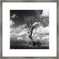 Lone Tree #2 Framed Print