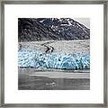Magnificent Sawyer Glacier At The Tip Of Tracy Arm Fjord #2 Framed Print