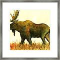 Moose #2 Framed Print