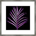 Palm Leaf #2 Framed Print
