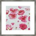 Pink Poppies #1 Framed Print